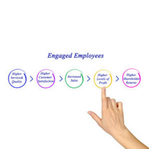 Employee Engagement – Gallup Really Knows!